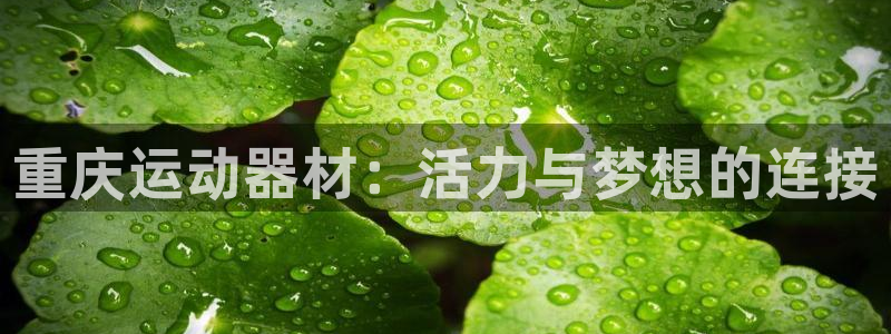 意昂4娱乐是那个系列的台子：重庆运动器材：活力与梦想