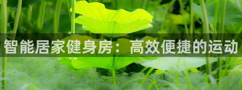 海南意昂体育4：智能居家健身房：高效便捷的运动