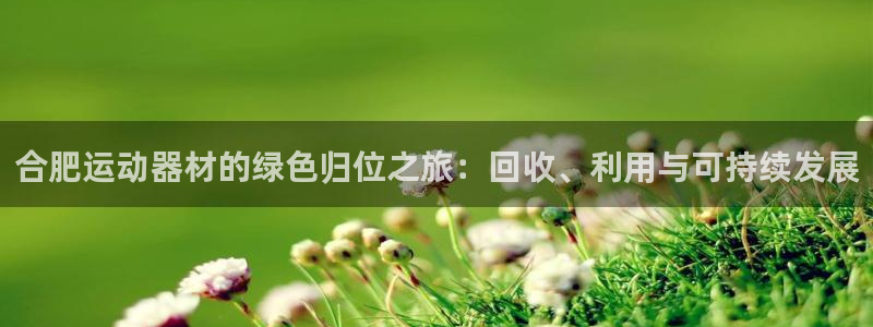 意昂4娱乐40996：合肥运动器材的绿色归位之旅：回收、利用