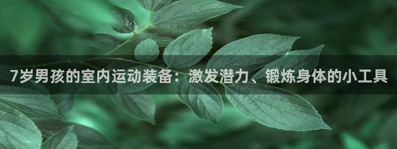 意昂4娱乐网站：7岁男孩的室内运动装备：激发潜力、锻