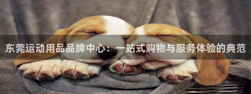 海南意昂体育4发展怎么样：东莞运动用品品牌中心：一站式购物与