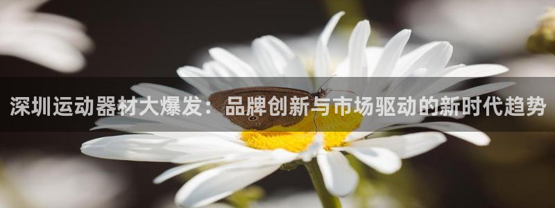 意昂体育4招商电话是多少啊：深圳运动器材大爆发：品牌创新与市