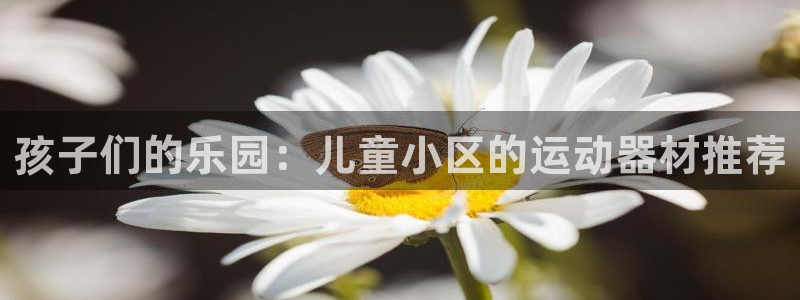 意昂体育4联系电话：孩子们的乐园：儿童小区的运动器材