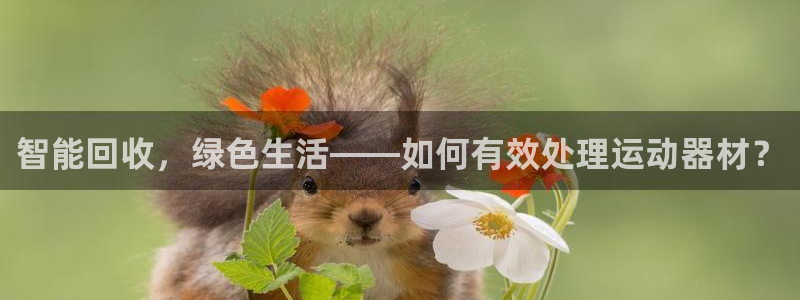 意昂4娱乐代理怎么样：智能回收，绿色生活——如何有效处理运动