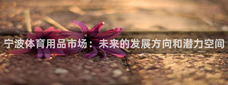 意昂体育4平台注册流程图：宁波体育用品市场：未来的发展方向和