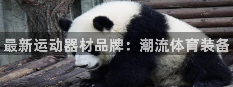 意昂体育4平台注册要钱吗是真的吗：最新运动器材品牌：
