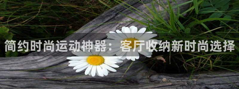 意昂4集团logo：简约时尚运动神器：客厅收纳新时尚