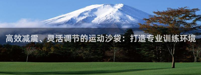 意昂4娱乐平台：高效减震、灵活调节的运动沙袋：打造专