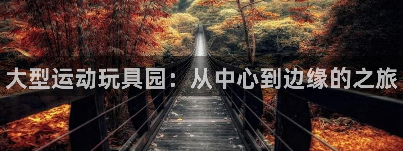 意昂4开户：大型运动玩具园：从中心到边缘的之旅