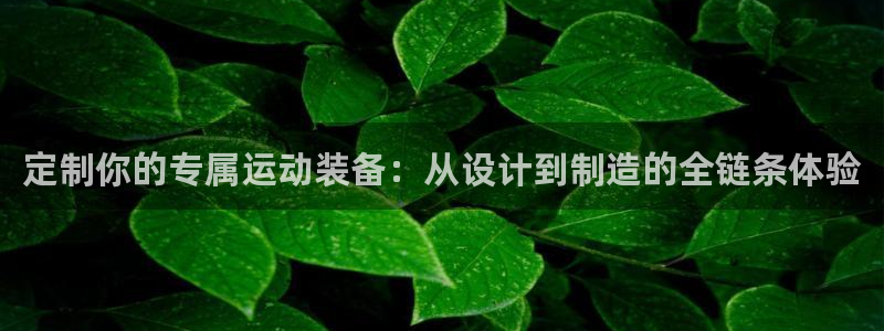 意昂体育4平台注册要钱吗安全吗：定制你的专属运动装备