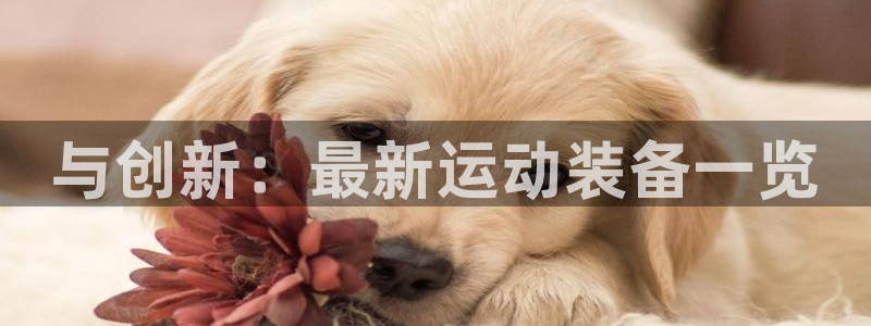 意昂体育4注册：与创新：最新运动装备一览
