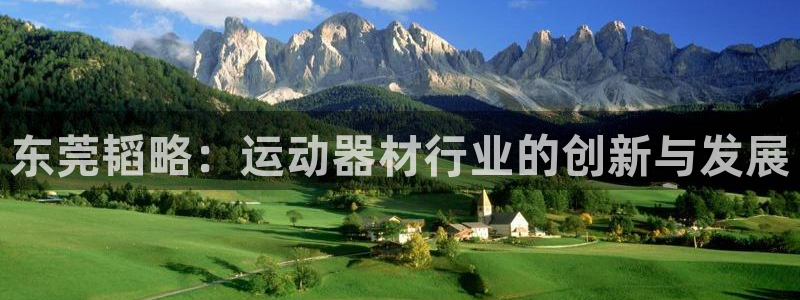 德国意昂4集团：东莞韬略：运动器材行业的创新与发展