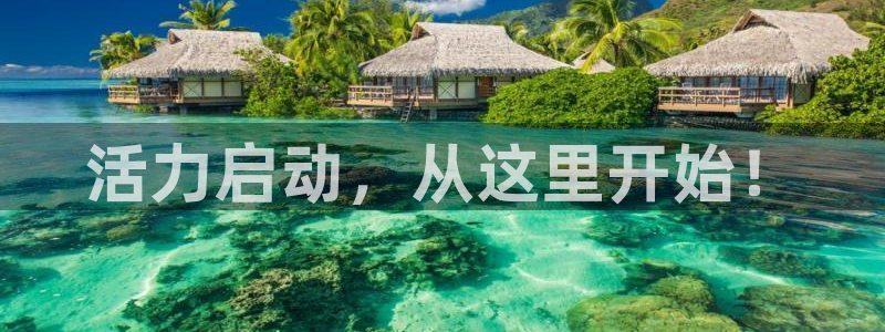 意昂体育4平台注册要钱吗安全吗：活力启动，从这里开始！