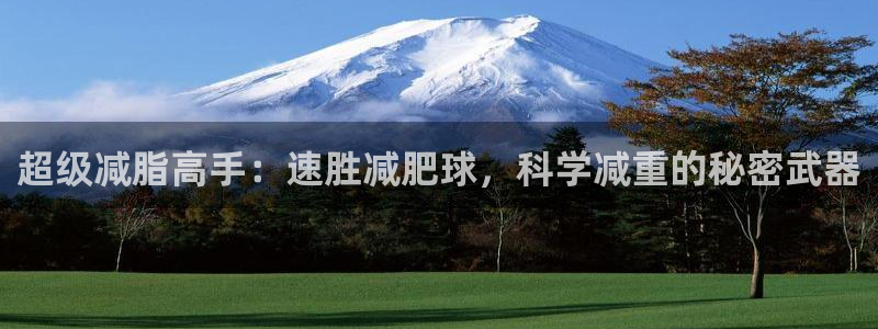 意昂体育4是干嘛的公司：超级减脂高手：速胜减肥球，科学减重的